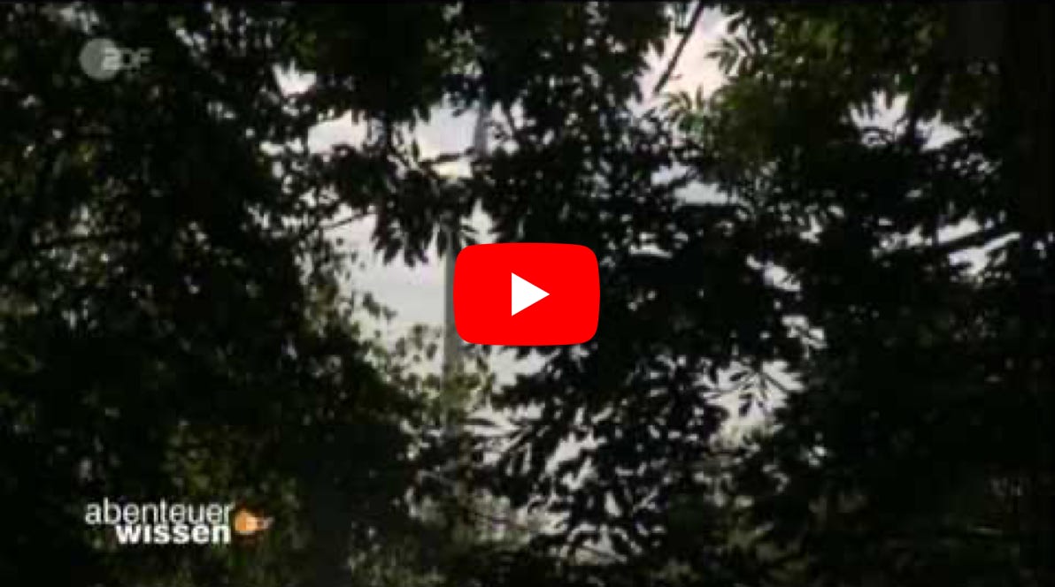 Video Video abspielen