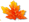 Laub